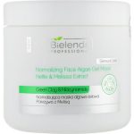 Bielenda Professional Normalizing Face Algae Gel Mask (запасной блок) - Нормализирующая альгинатная гелевая маска "Крапива и Мелисса", 200 г.