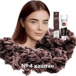 Краска BRONSUN № 4, каштан, 15мл