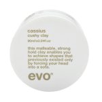Ево Конструирующая глина [кассиус], 90 мл (EVO, style)