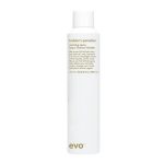 Ево Спрей-лак [мечта строителя] сильной фиксации, 300 мл (EVO, style)