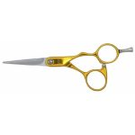 Ножницы DAYO 31550-GD