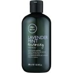 Шампунь на основе экстракта чайного дерева, лаванды и мяты Paul Mitchell Теа Tree Lavender Mint Shampoo