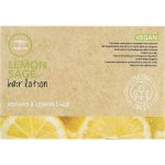 Восстанавливающий лосьон от выпадения волос с экстрактом чайного дерева и лимона Paul Mitchell Tea Tree Hair Lotion Keravis and Lemon–Sage