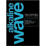 Набор для щелочной химической завивки волос Paul Mitchell Alkaline Wave Professional Permanent Waves (lot/100ml + neutr/100ml + cap)