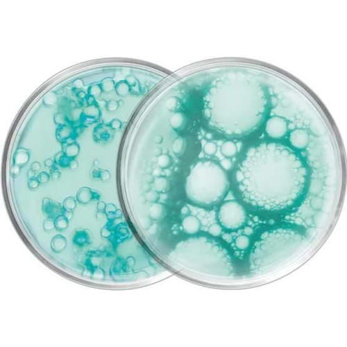 Мицеллярная вода для снятия макияжа — изображение 3