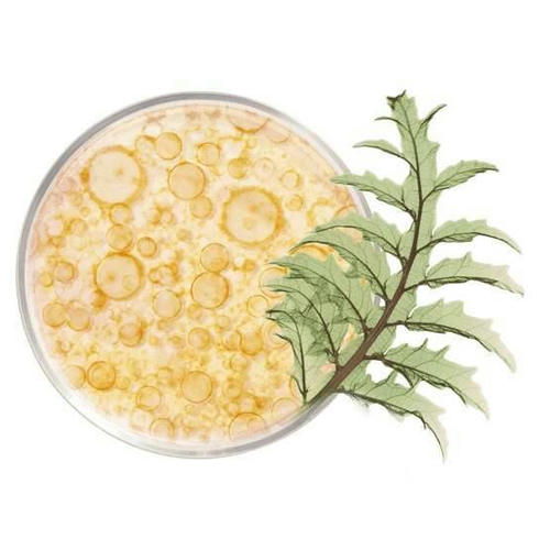 Сыворотка-активатор Липидовосполняющая против морщин — изображение 3