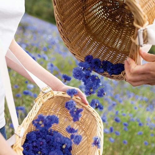 Подводка-Фломастер для Контура Глаз — изображение 3