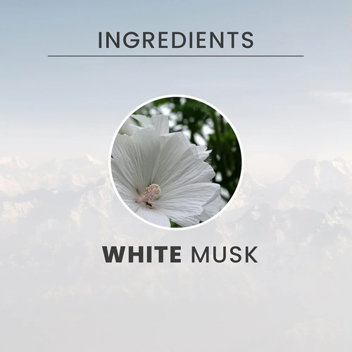 Крем-гель для душа Tesori d’Oriente White Musk (Белый Мускус), 250 мл — изображение 2