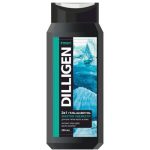 Гель-шампунь мужской Dilligen 2 в 1 Энергия свежести, 250мл