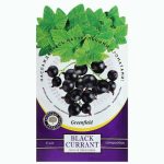 Ароматизатор для дома Greenfield Черная смородина