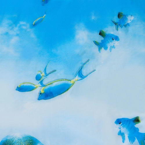 Штора для ванны Доляна «Рыбки», 180x180 см, EVA — изображение 2