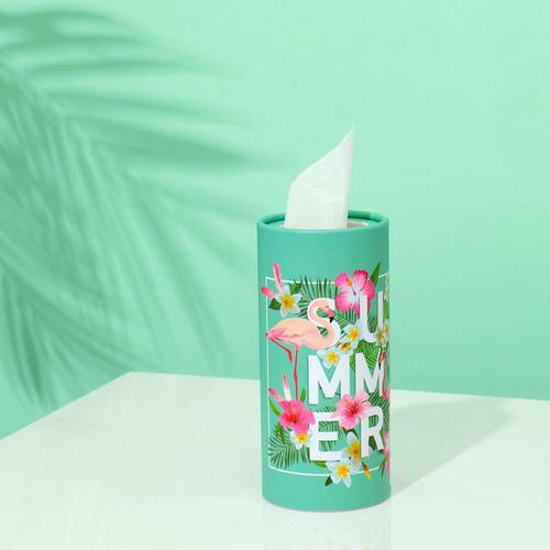 Салфетки в тубусе 50 шт, 2 слоя Лето — изображение 2