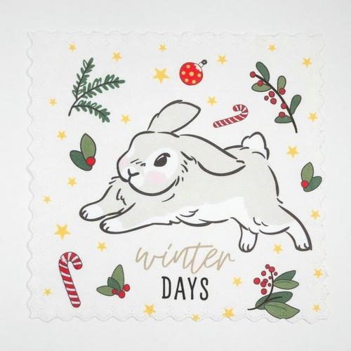 Набор салфеток Доляна Winter days 20х20 см-2 шт, микрофибра — изображение 2