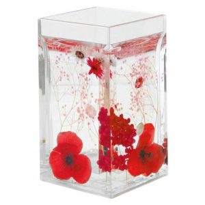 Стакан для зубных щёток Vermilion