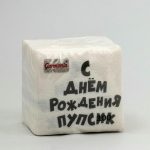 Салфетки бумажные однослойные Гармония цвета С Днем рождения Пупсик 24*24 см, 100 шт