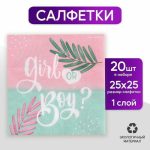 Салфетки Gir or Boy, 25 x 25 см, в наборе 20 шт