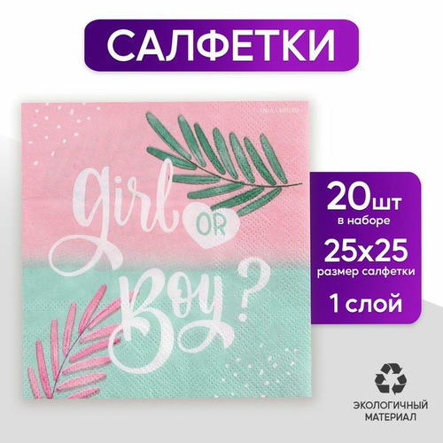 Салфетки Gir or Boy, 25 x 25 см, в наборе 20 шт