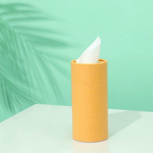 Салфетки в тубусе 50 шт, 2 слоя Крафт — изображение 2