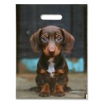 Пакет подарочный "Милая такса" 30 х 40 см 50 мкм - 20 шт.