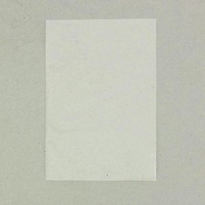 Пакет без липкой ленты 16 х 28 см - 100 шт.