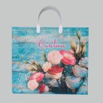 Пакет "Каролина", полиэтиленовый с пластиковой ручкой, 80 мкм, 37 х 34 см - 10 шт.