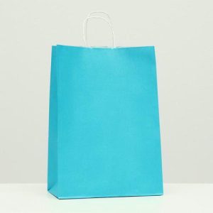 Пакет крафт лазурный, 22 х 12 х 31 см - 10 шт.