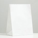 Пакет крафт бумажный фасовочный, прямоугольное дно 26 х 15 х 34 см 70 г/м2 - 20 шт.