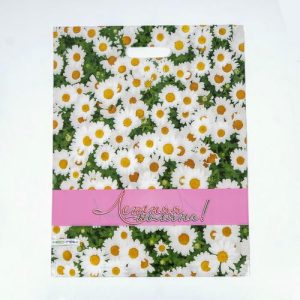 Пакет "Летняя поляна", полиэтиленовый, с вырубной ручкой, 38 х 47 см, 60 мкм - 25 шт.