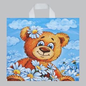 Пакет "Тоша", полиэтиленовый с петлевой ручкой, 40 х 42 см, 45 мкм - 25 шт.