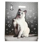 Пакет "Шалун", полиэтиленовый с вырубной ручкой 40х47 см, 45 мкм - 50 шт.