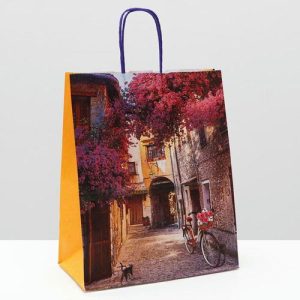 Пакет крафт "Дворик", 22 х 12 х 27 см - 10 шт.