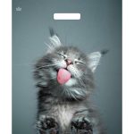 Пакет "Кот", полиэтиленовый, с вырубной ручкой, 38 х 45 см, 60 мкм - 50 шт.