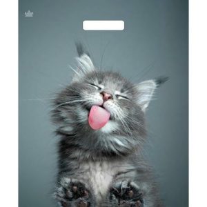 Пакет "Кот", полиэтиленовый, с вырубной ручкой, 38 х 45 см, 60 мкм - 50 шт.