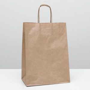 Пакет крафт без печати, круглая ручка 26 х 15 х 35 см - 10 шт.