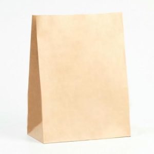 Пакет крафт бумажный, фасовочный, прямоугольное дно, 22 х 12 х 29 см, 50 г/м2 - 50 шт.