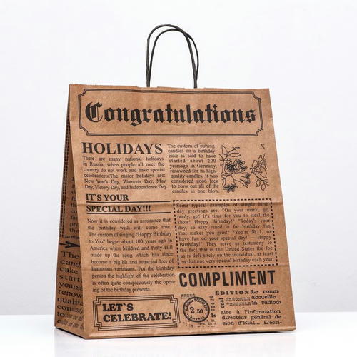 Пакет крафт "Газета" коричневая 32 х 19,5 х 37 см - 10 шт.