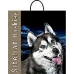 Пакет "Хаски", полиэтиленовый с пластиковой ручкой, 100 мкм 40 х 44 см - 10 шт.