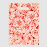 Пакет полиэтиленовый с вырубной ручкой "Пионы", нежно-розовые, 30 х 40 см, 50 мкм - 20 шт.