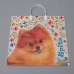 Пакет "Шпиц", полиэтиленовый с пластиковой ручкой, 37 х 34 см, 80 мкм - 10 шт.