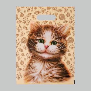 Пакет "Кузя" полиэтиленовый с вырубной ручкой, 60 мкм, 31 х 40 см - 50 шт.