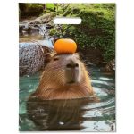 Пакет подарочный "Капибара" 30 х 40 см 50 мкм - 20 шт.