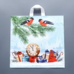 Новый год. Пакет "Пернатые друзья", полиэтиленовый с петлевой ручкой, 42 х 44 см - 50 шт.