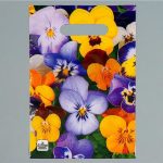 Пакет "Анютины глазки" new, полиэтиленовый с вырубной ручкой, 30 мкм 20 х 30 см - 100 шт.