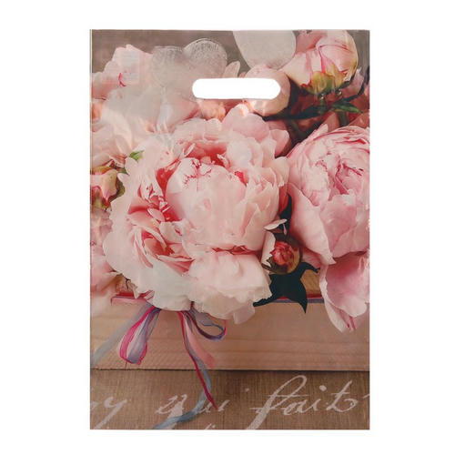 Пакет "Бенефис", полиэтиленовый с вырубной ручкой 29х40 см, 35 мкм - 50 шт.