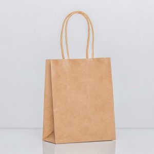 Пакет крафт без печати, круглая ручка, 15 х 11 х 6 см, 120 г - 12 шт.