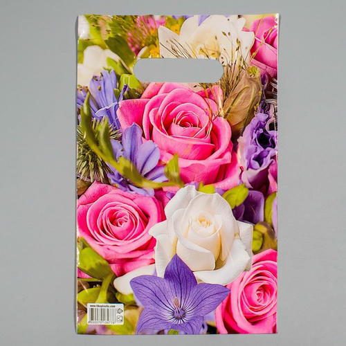 Пакет "Лирика", полиэтиленовый с вырубной ручкой, 30 мкм, 20 х 30 см - 100 шт.