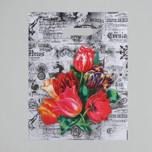 Пакет "Бристоль", полиэтиленовый с вырубной ручкой, 30 х 40 см, 35 мкм - 50 шт.