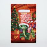 Новый год. Пакет "Уютная змейка", полиэтиленовый с вырубной ручкой, 20х30 см - 50 шт.