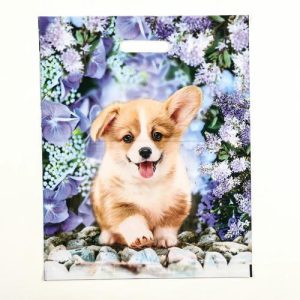 Пакет "Рыжик", полиэтиленовый с вырубной ручкой, 38х47 см, 60 мкм - 50 шт.